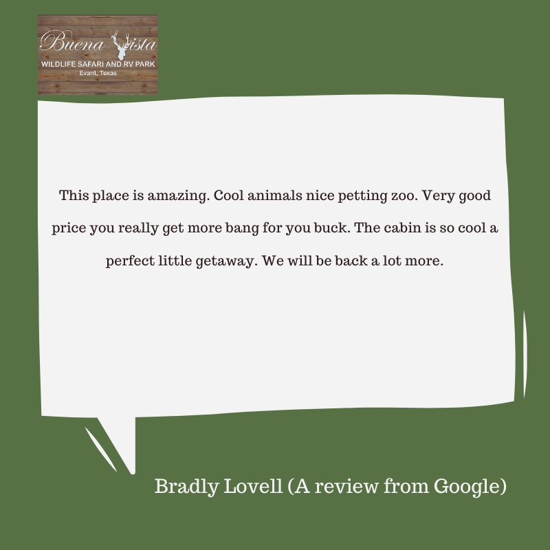 BuenaVistaEvant's tweet photo. Our visitors are so special! Thank you for visiting us. 
Come out and make memories at Buena Vista, we promise it will be worth it!

#BuenaVistaWildlifeSafari #TexasSafari @cityofwaco @texasadventure #AustinTX @dfwmag #featureus #memorabilia #outdoors https://t.co/xfrzMlW27a