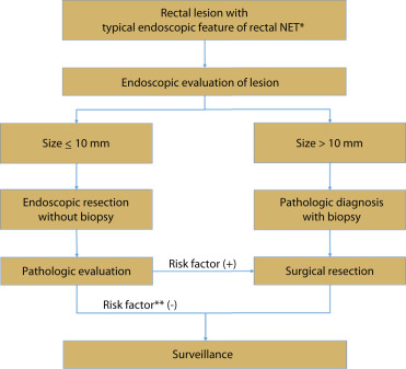 Check out “Comparison of underwater endoscopic mucosal resection and endoscopic submucosal dissection of rectal neuroendocrine tumors” by Park et al. ow.ly/CTsg30qC7fh