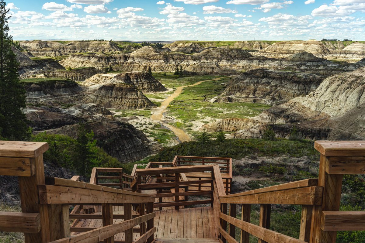 Stairs descend on to breathtaking views at Horseshoe Canyon Badlands. Drumheller, AB.

flic.kr/p/2j5pai7