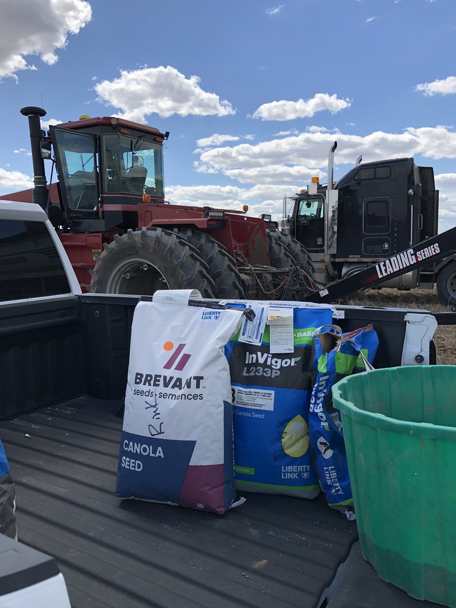 Getting ready to seed the Lucky Lake Rink land today! 🌱 A little B3010M &amp; L233P #canola going in this year #volunteer #communityproject #SmallTownSask #Charity