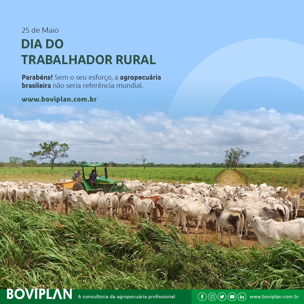 Boviplan's tweet photo. 25 de Maio - Dia do Trabalhador Rural. Nossos sinceros cumprimentos a estes homens e mulheres de valor inestimável, que carregam a identidade e o progresso do país. #trabalhador #trabalhadorrural #nalida #agro #pecuaria #agricultura https://t.co/Euu43TWRuH