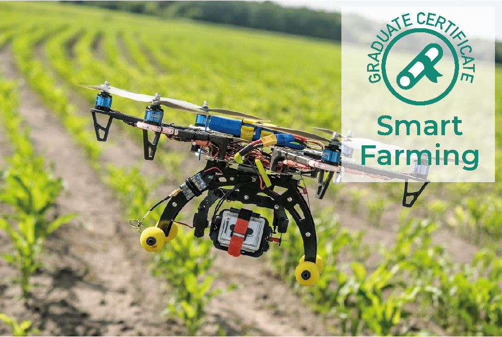 Bonne nouvelle pour tous ceux qui souhaitent faire parler les données, au service de la décision...
<a href="/sejenci/">SEJEN CI</a> vous propose le Certificat en SMART FARMING.
Pour plus d’informations suivez le lien : sejen.ci/certificat-agr…
Pour nos autres formations : sejen.ci/formations/