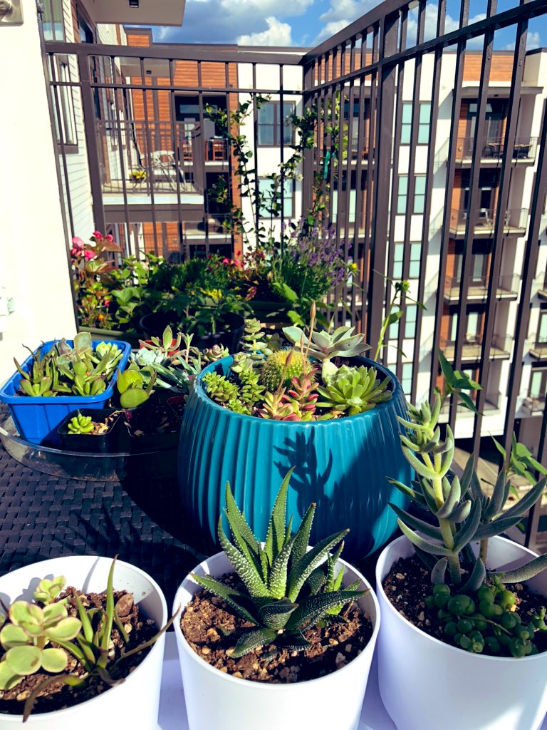 Ellen Mary tweet media