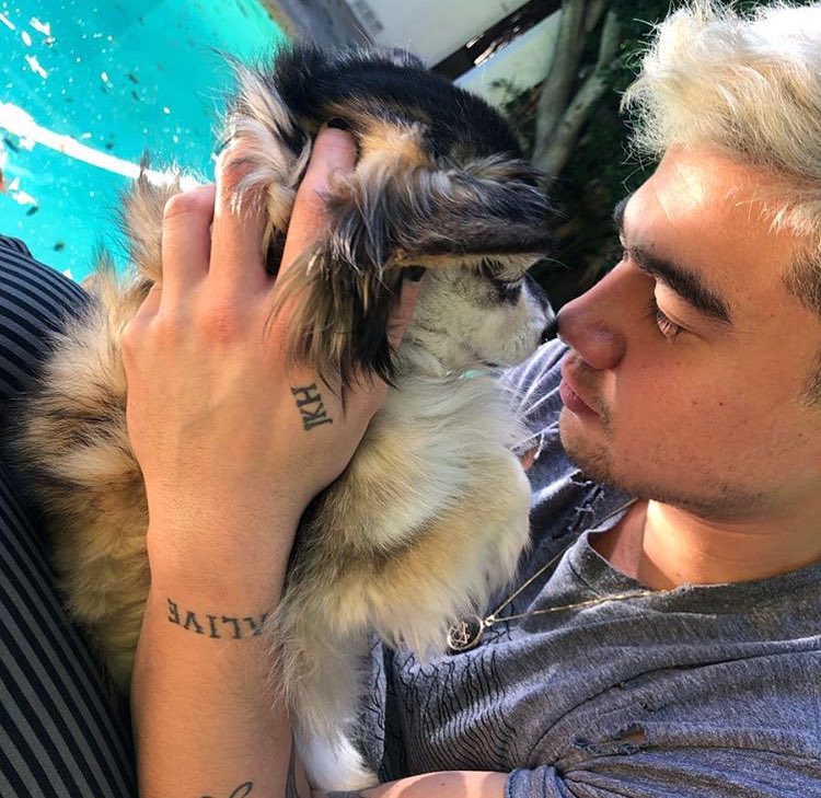 calum hood wearing colourful clothes; a thread