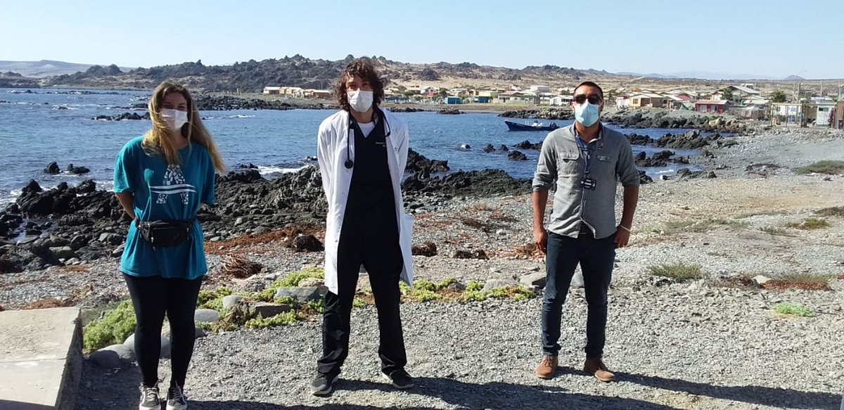 FreirinaIM's tweet photo. POSITIVO: SECTOR COSTERO DE FREIRINA FORTALECE EQUIPO DE SALUD

"Nunca en la historia de #Freirina, se había contratado un médico para Caleta Chañaral y Carrizalillo" sostuvo Alcalde @cesar_freirina Conoce más de esta info aquí: https://t.co/E7XVAxoU6r @Luciano_Osorio https://t.co/BBdI1Kb32O