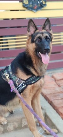 BarkBox4's tweet image. 