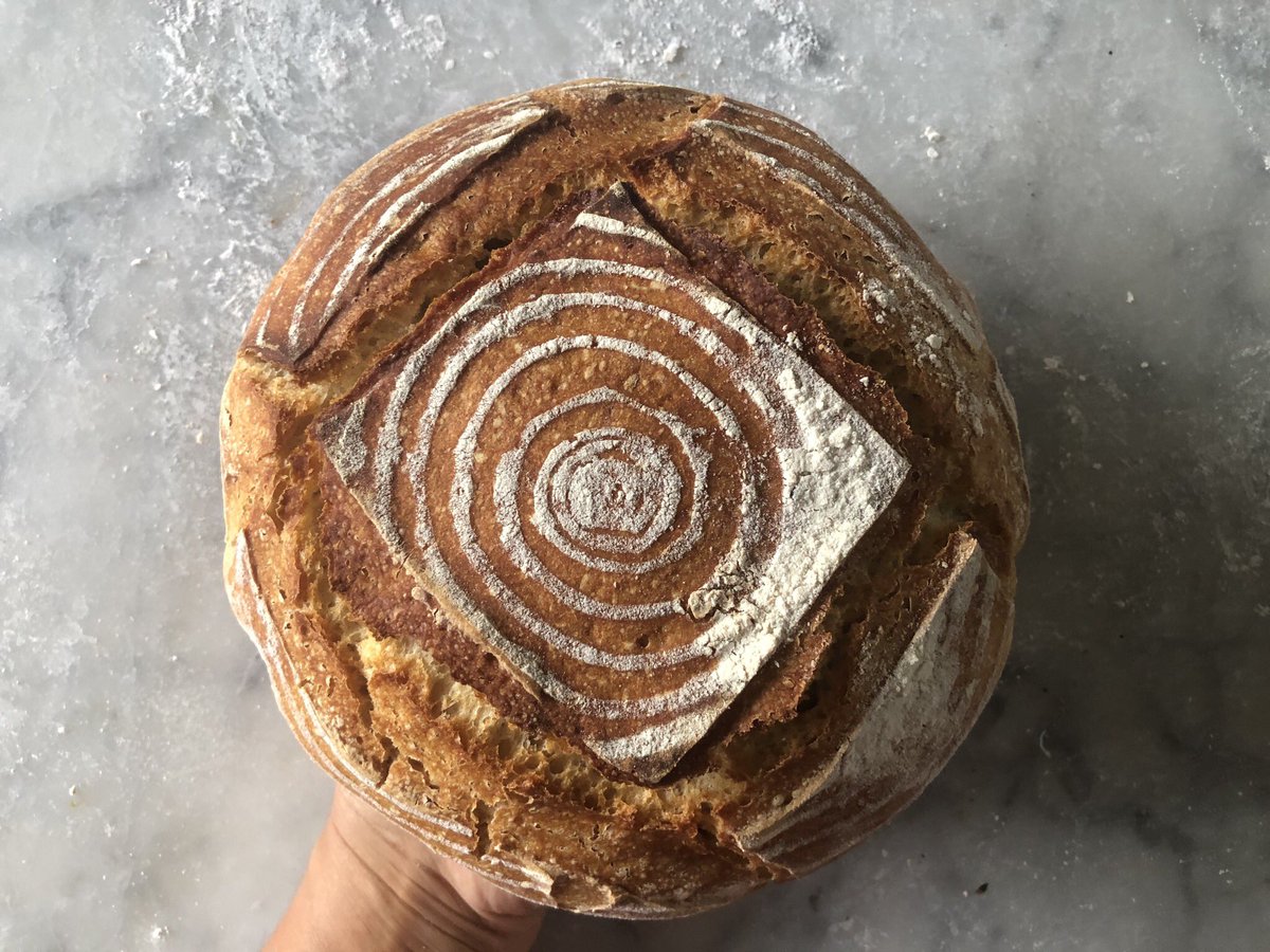 kongroove's tweet photo. Very challenging high hydration dough &amp; a novice bread maker me. Tiring, exhausting. But, there’s always a but, just as I thought it was my failure &amp; I should abandon sourdough forever it turned out to be my best ever! Wow! Just Wow! #foodnerd #experimentalkitchen #sourdough https://t.co/kqnWyvtFUE