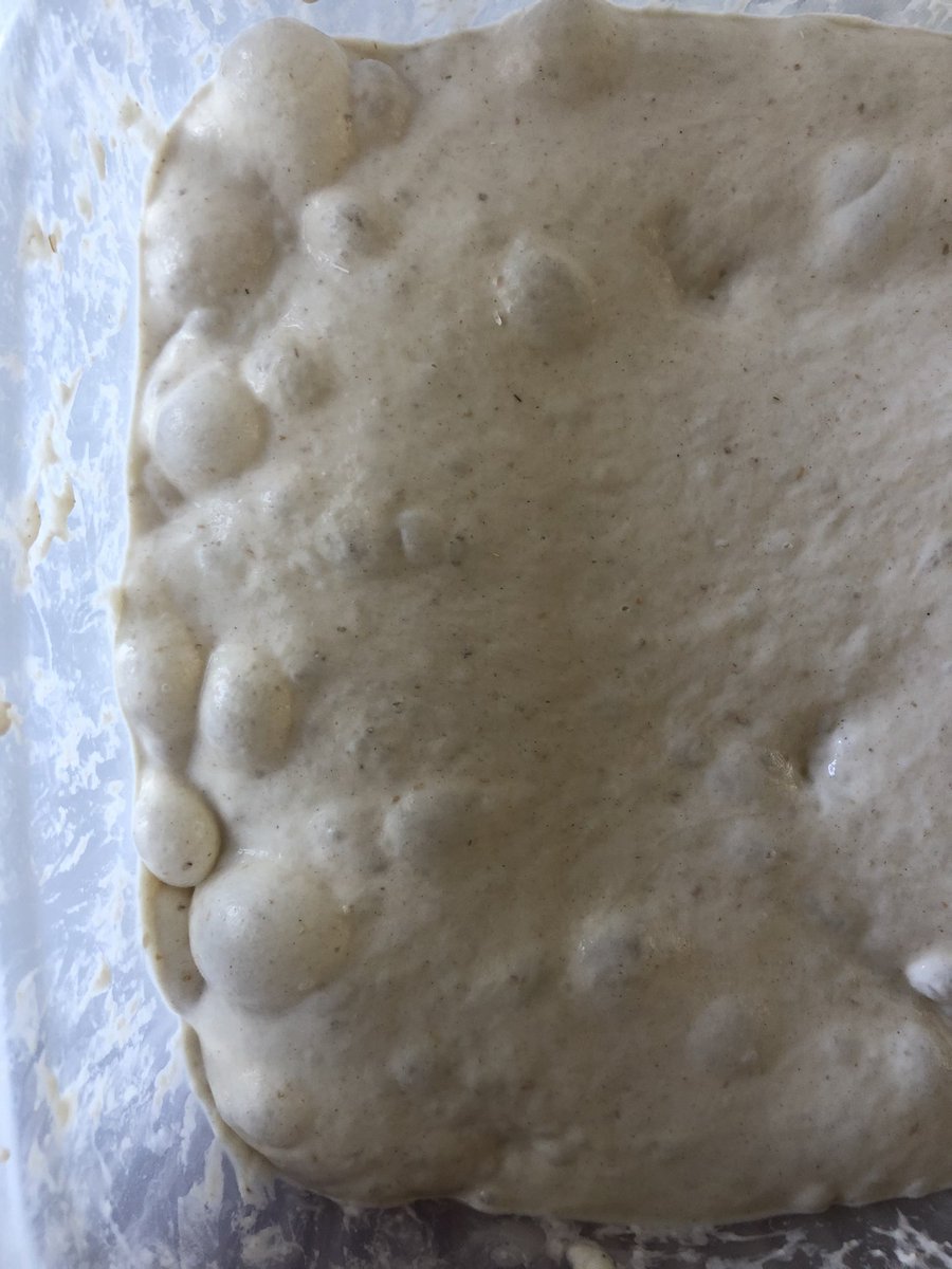 kongroove's tweet photo. Very challenging high hydration dough &amp; a novice bread maker me. Tiring, exhausting. But, there’s always a but, just as I thought it was my failure &amp; I should abandon sourdough forever it turned out to be my best ever! Wow! Just Wow! #foodnerd #experimentalkitchen #sourdough https://t.co/kqnWyvtFUE