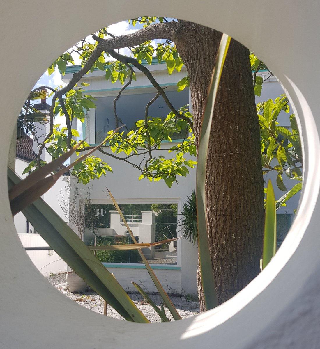 erinjacqgill's tweet photo. Sunny + hot! Perfect for exploring East Dulwich ➡️ Forest Hill + onto Peckham Rye, taking in super-fab @DawsonsHeights & @HornimanMuseum's park. What vistas! All by 🚴♀️ + on🚶♀️. #tryingtokeepfit #naturalhealthservice #southlondon https://t.co/URvq2r1rwF