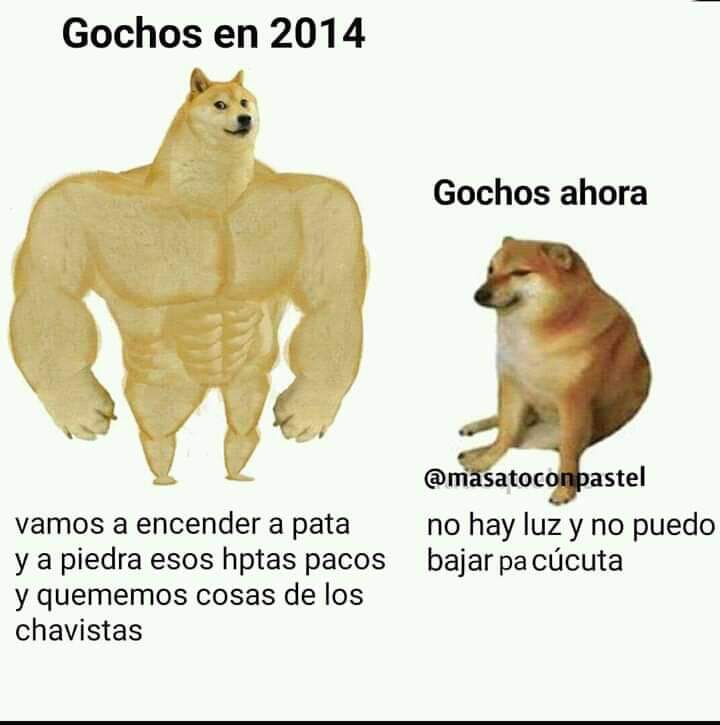 GeorgeArtwell's tweet image. Si es verdad que los #GochosArrechos pasaron de esto a esto... Supongo que los caraqueños pasaron del perrito de la derecha a gato feo de esos sin pelos...