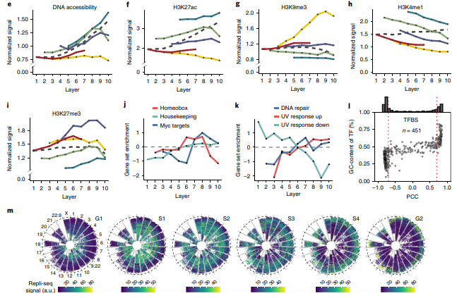 GirelliGabriele's tweet photo. 3/6 Combining #GPSeq and #ChIPseq data reveals different radial arrangement for a variety of #epigenetic marks, both genome-wide and by sub-compartment. #epigenome https://t.co/E62Z8kvnG4