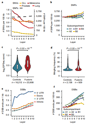 GirelliGabriele's tweet photo. 5/6 Finally, we used #GPSeq to explore the #heterochromatin "bodyguard hypothesis" by looking at SNP/SNVs and gene fusions radial arrangement in cancer, alongside DSBs and inter-chromosomal mingling. https://t.co/LKvciHfDmn