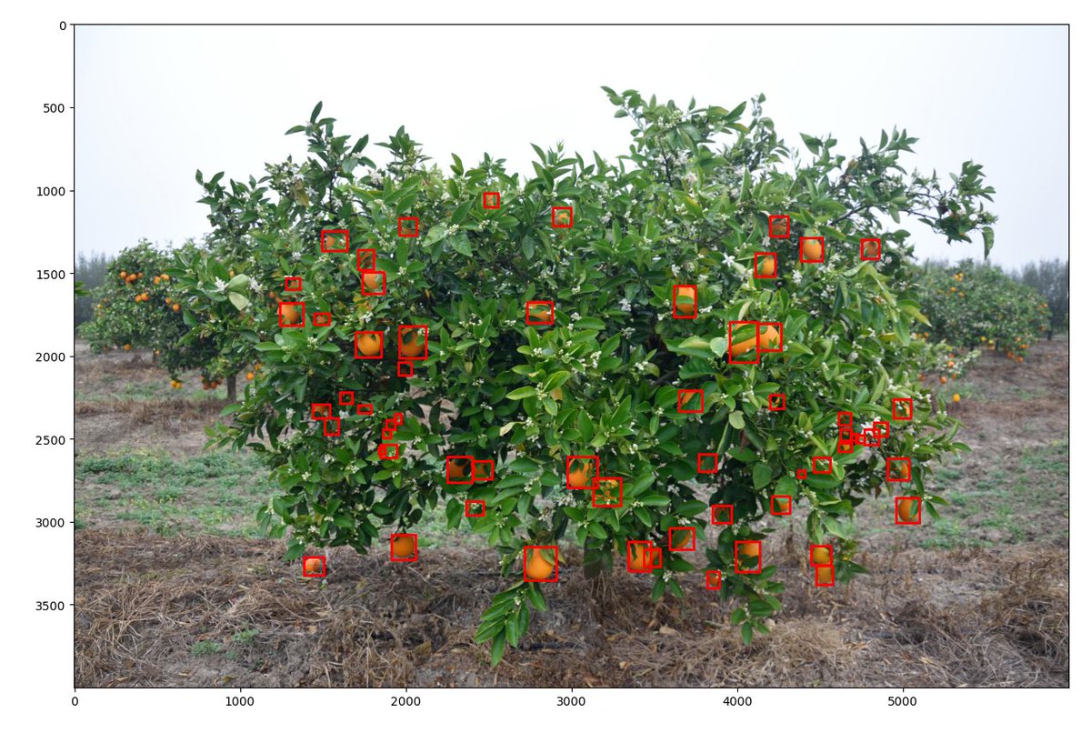 sowit_'s tweet photo. Predicting yields improves farmers' bargain and exporters' logistics. Why betting on figures when reality is at hand? Why generating waste when each single fruit can find its way to the market? 

We are working with @Cirad to make #AI available to as many farmers as possible. https://t.co/HasfRBbwe5