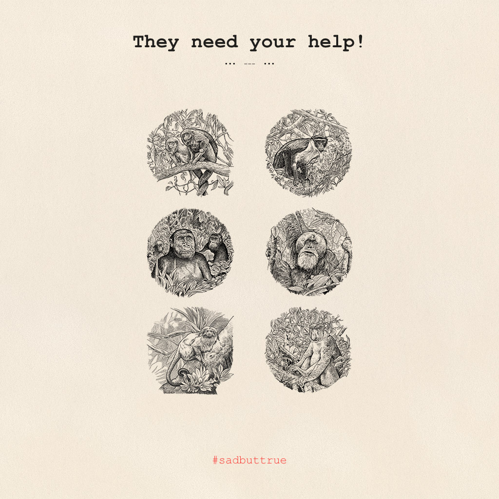 We celebrate our 10-year anniversary with you – an affair of the heart, of course!