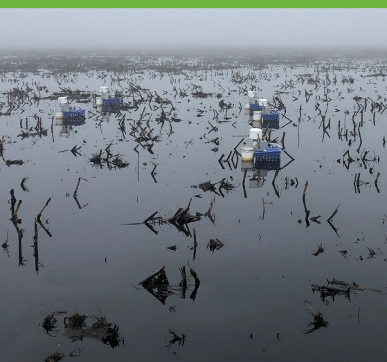 eosense's tweet photo. New App Note out with @Picarro today! Field Deployment of Picarro #G2508 and Eosense #eosAC/#eosMX in Perennially or Periodically Flooded Soils!
https://t.co/DXFcgOvLlx https://t.co/25bKGqG6FI