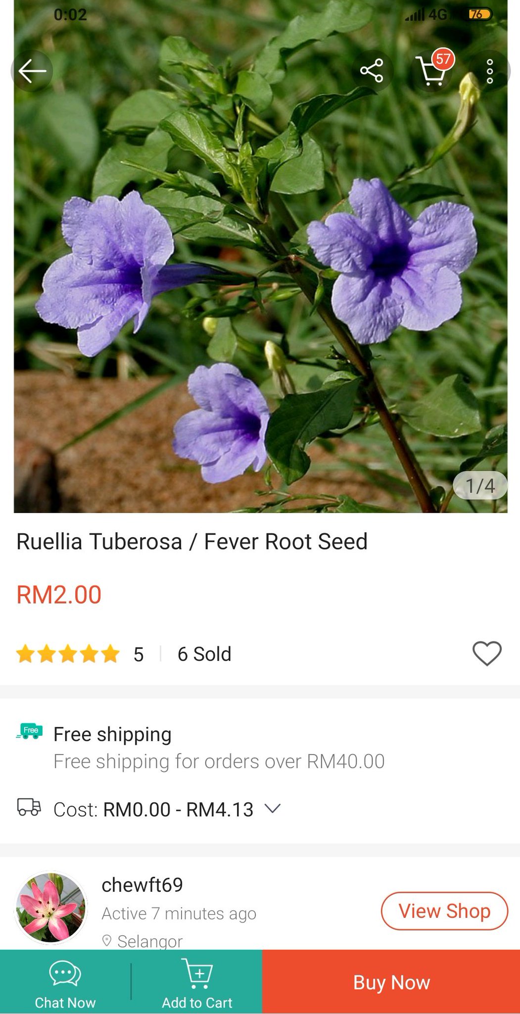 46+ Pokok Bunga Ruelia Background