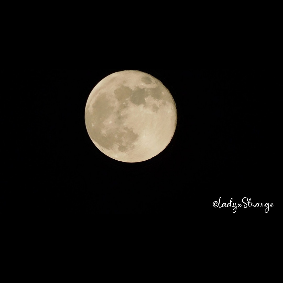StrangeLadyx's tweet photo. My first photos I took of the infamous Flower Supermoon. She was the last supermoon for this year. Was very excited &amp; it took my breathe away to see the detail in these photos that that a naked eye wont see. For more content~ 
Follow me on IG: sublimelyxstrange #moon #nasa https://t.co/294LuS7ALM