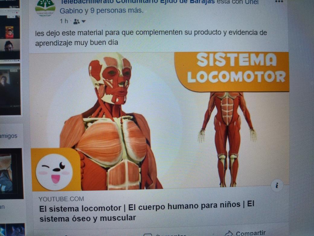 TBC 69 EJIDO DE BARAJAS tweet media