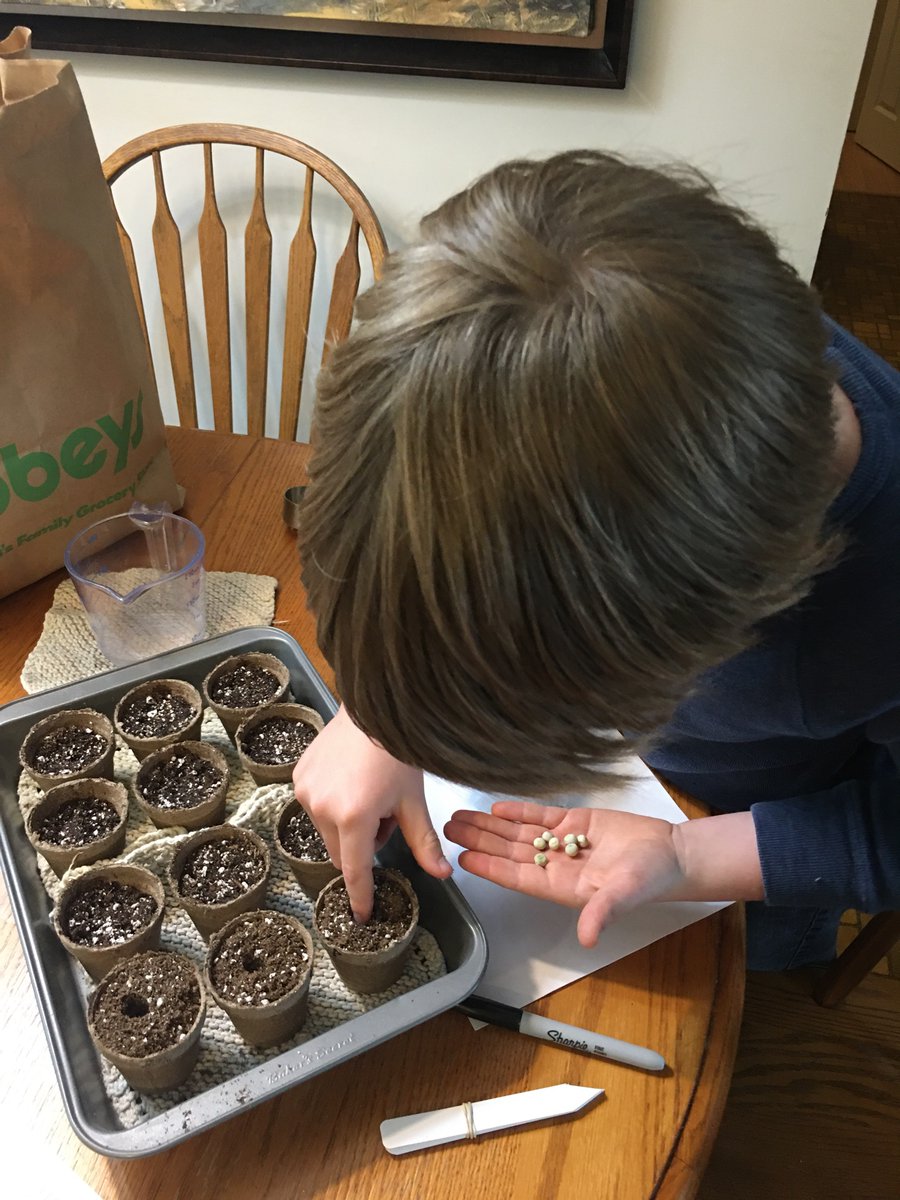 saldaw's tweet photo. Thanks to @N4LCanada my 3rd grader was so excited to plant all his pots!! #growmanitoba #plantingdayone https://t.co/tK6kULu4fK