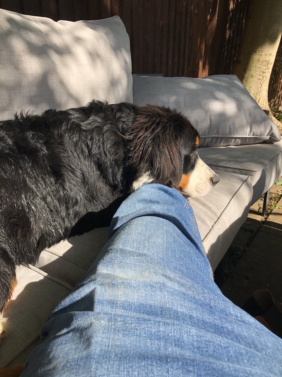 Won’t be moving for a bit