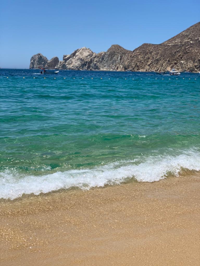 ViajaComoLocal's tweet photo. Visita nuestro Instagram y descubre más de nuestra semana dedicada a #LosCabos: https://t.co/0Hh2LPYFhU https://t.co/ZBuvUHS6ZZ