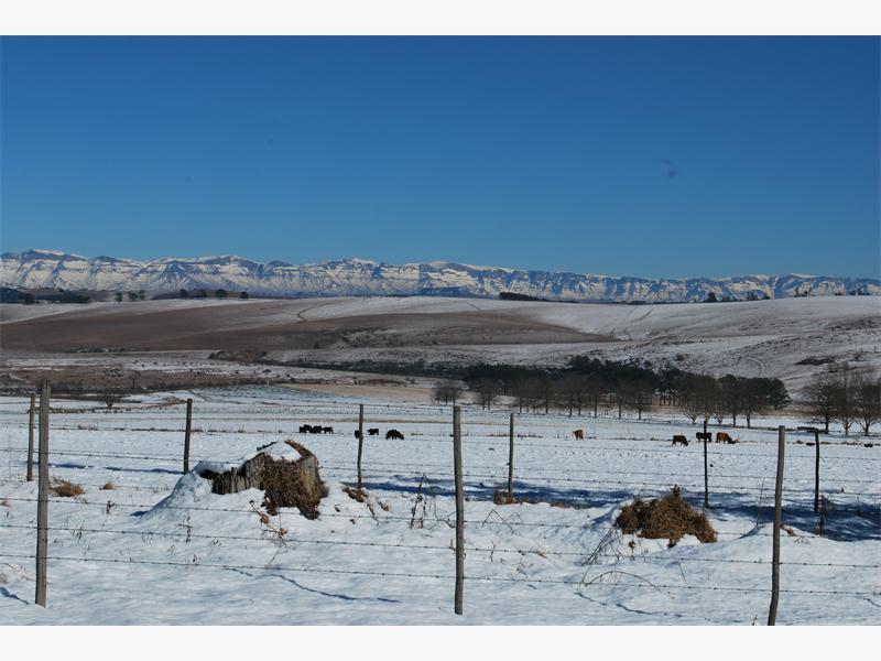 Brrrrrr, bring out the winter woollies – it’s a snowy start to the week, says Weather Service. citybuzz.co.za/lnn/1081526/br…