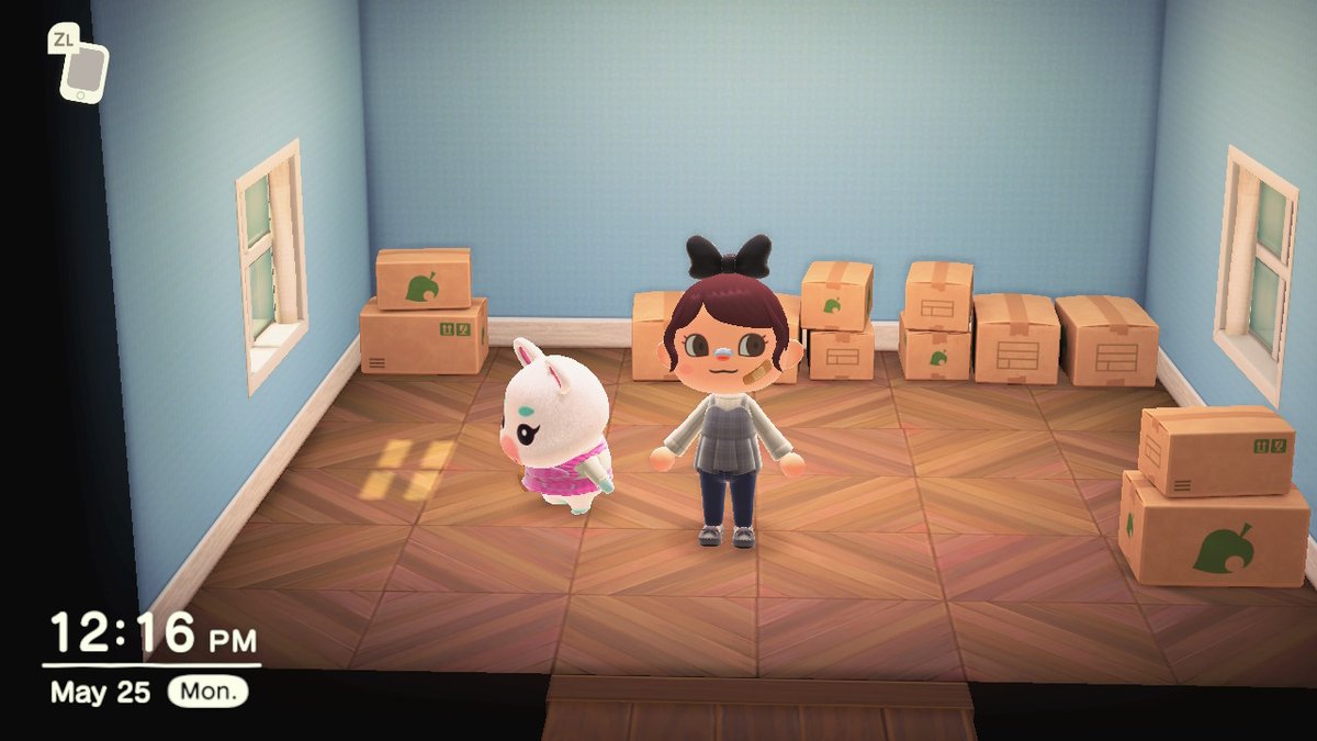ACNHmegan_'s tweet photo. flurry is in boxes if anyone wants her #AnimalCrossing #ACNH #NintendoSwitch #ACNHFlurry #Flurry #ACFlurry #AnimalCrossingNewHorizons https://t.co/QBwhTc9RNQ