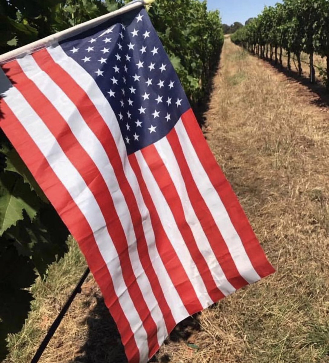 We honor all the men and women who made the ultimate sacrifice for our freedom. #NeverForget #MemorialDay2020