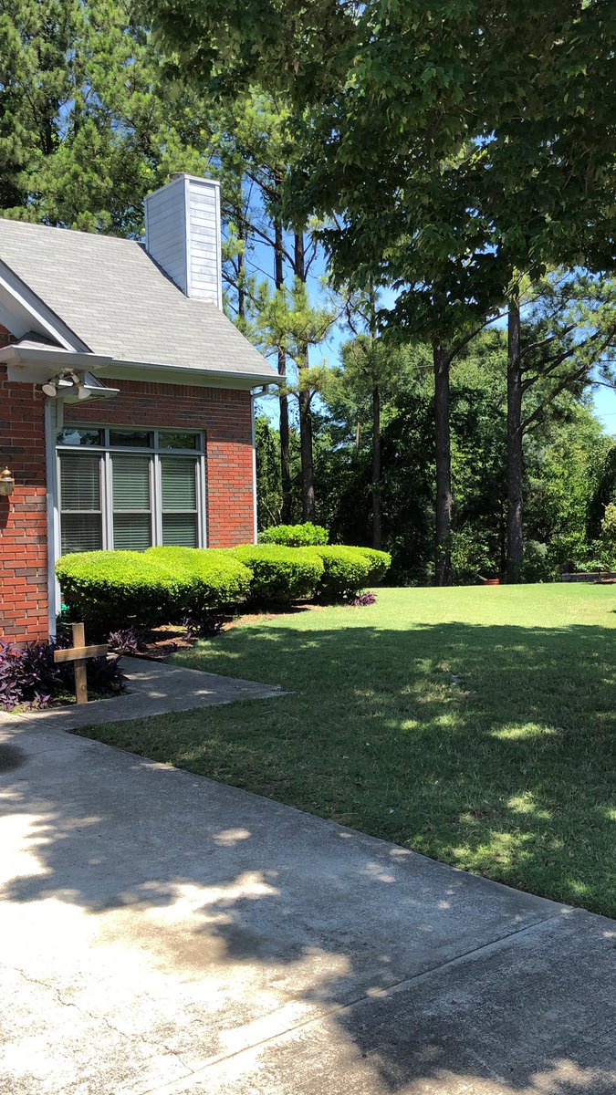 AuburnSuperMan's tweet photo. Yard work βοΈ
Patio pressure washedβοΈ
Blinds hung upβοΈ
#whatdayoffπ€·πΏββοΈ https://t.co/7TrSnopiCr