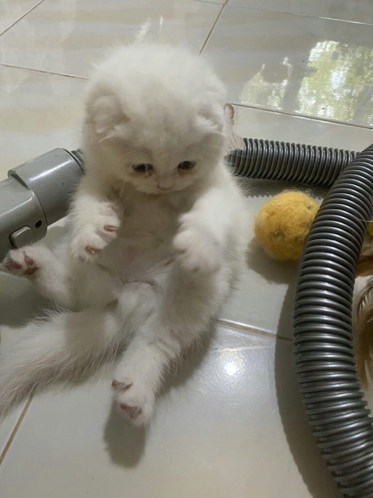 lucasxmaxx's tweet photo. @trameexrenjun แค่นี้เลยค่ะ https://t.co/W9LvxmEETF