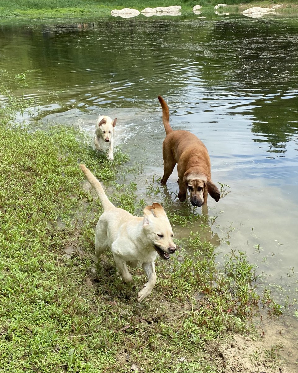 ann klee tweet media