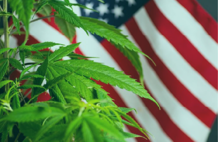 TeamStickyleaf's tweet photo. Happy Memorial Day! https://t.co/eq5dDeeFhG