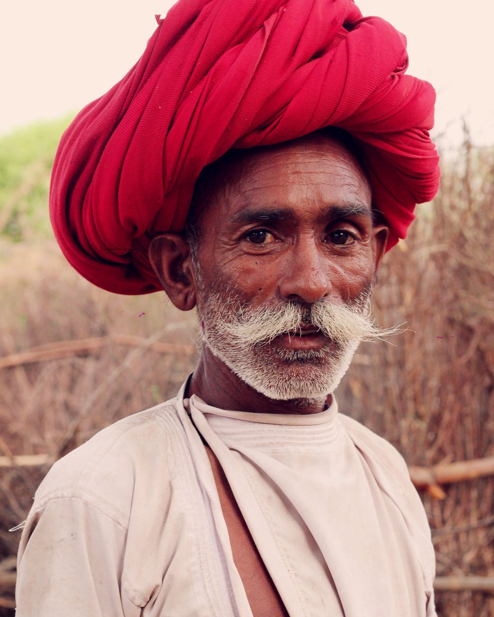 Khama Ghani Hukum !
Jawai mein aapro swagat hai !!
#varawalleopardcamp #jawaisafari #jawai #rabari #rabaricommunity