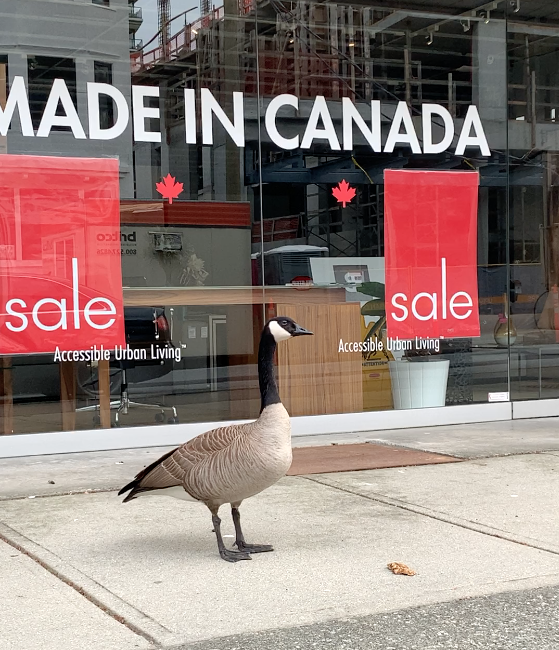 Even the geese shop local! 🇨🇦 We're back + ready for business. 12pm-5pm, Tuesday - Sunday.

baysidefurniture.com