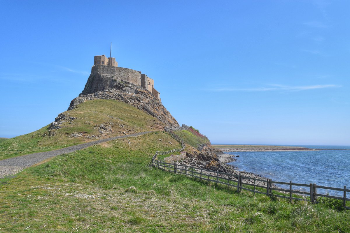 Emma Dodd tweet media