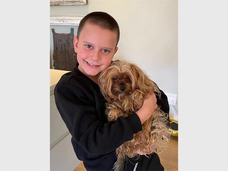 National News: Youngster raises nearly R20 000 for pets in need during lockdown citybuzz.co.za/lnn/1081524/yo…