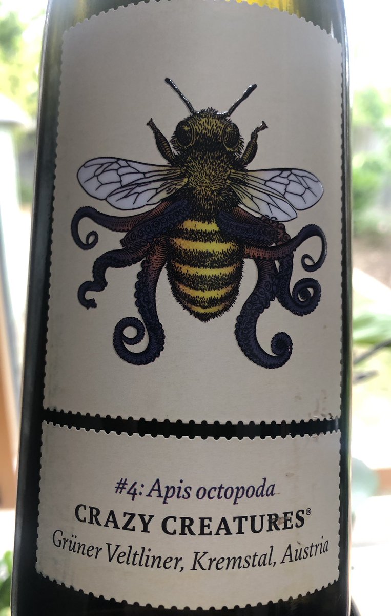 LePatissier1's tweet photo. Ooh... hadn’t tried this white before. I am a big fan of Grüner Veltliner and this does not disappoint.... yeah yeah...I know it’s a school night !
#shiplocal https://t.co/ecfU37W1Cx