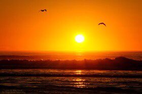 Mrnweather's tweet photo. HAPPY MEMORIAL DAY! @weatherchannel @TWCAlexWallace @juliemartin @TWCChrisBruin @TWCChrisWarren @JacquiJerasTV @TWCAlexWilson @twcMarkElliot @mikebettes @LianaBrackett @Ash_Baylor #WEATHERCENTERLIVE #WUTV @AmyFreeze7 @SarahDillingham 🍇🍒🍓🥕🌴🌴🌴 #JAH https://t.co/dXaJ0RBETV