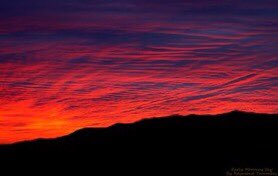 Mrnweather's tweet photo. HAPPY MEMORIAL DAY! @weatherchannel @TWCAlexWallace @juliemartin @TWCChrisBruin @TWCChrisWarren @JacquiJerasTV @TWCAlexWilson @twcMarkElliot @mikebettes @LianaBrackett @Ash_Baylor #WEATHERCENTERLIVE #WUTV @AmyFreeze7 @SarahDillingham 🍇🍒🍓🥕🌴🌴🌴 #JAH https://t.co/dXaJ0RBETV