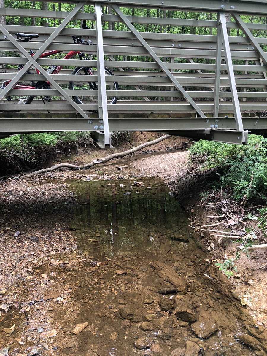 nhageradio's tweet photo. In my son’s words, “You don’t have to go to the Bloomberg place to get fish.” 

There are minnows in there somewhere. 

#fishgo https://t.co/Nc7t7kTo8n