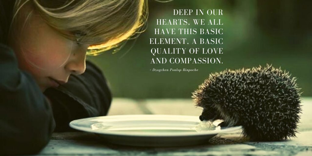 ponlop's tweet image. Deep in our heart is this basic element of #love and #compassion #GoKind