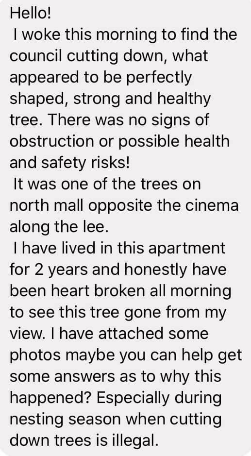 savecorkcity's tweet photo. We were contacted by somebody who was distressed by the removal of a tree from the quays. People should be consulted when a tree is proposed to be removed from their environment for whatever reason. Trees should be being planted, not removed.... especially during Biodiversity Wk https://t.co/iPy1KKAslb