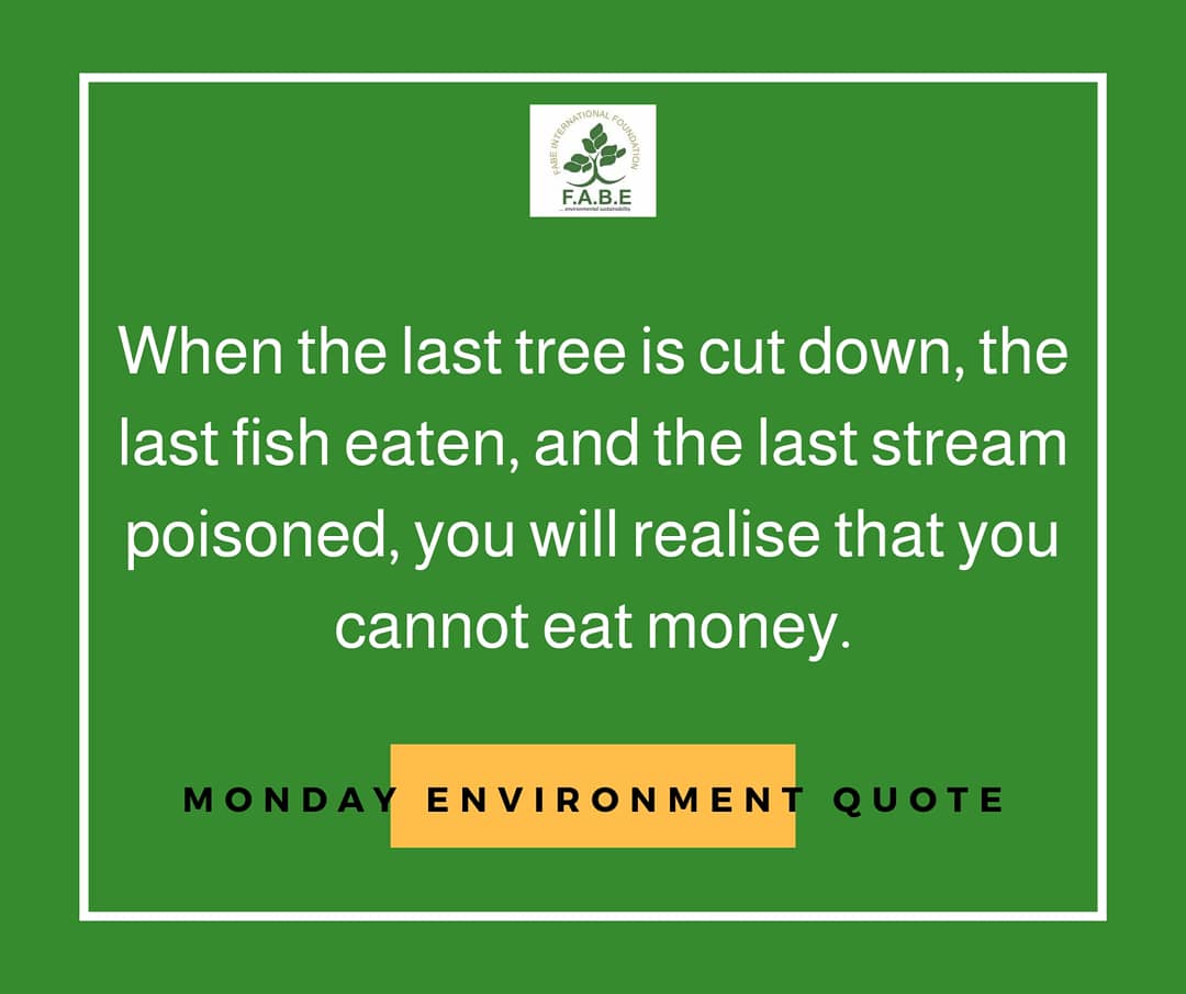 fabenigeria's tweet photo. When the last tree is cut down, the last fish eaten, and the last stream poisoned, you will realise that you cannot eat money.
HAPPY NEW WEEK!💚
#monday #mondaymotivation #environmentquotes #environment #water #sea #stoppollution #treeplanting #FABEInternationalFoundation https://t.co/cCVQEaAzMn