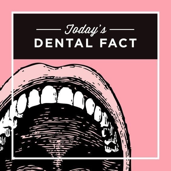 barretodds's tweet photo. As the hardest substance in the human body, your #enamel contains the highest percentage of minerals, working hard to keep your #smile bright and protect the roots and nerves of your #teeth. https://t.co/KOqd0sTDe1