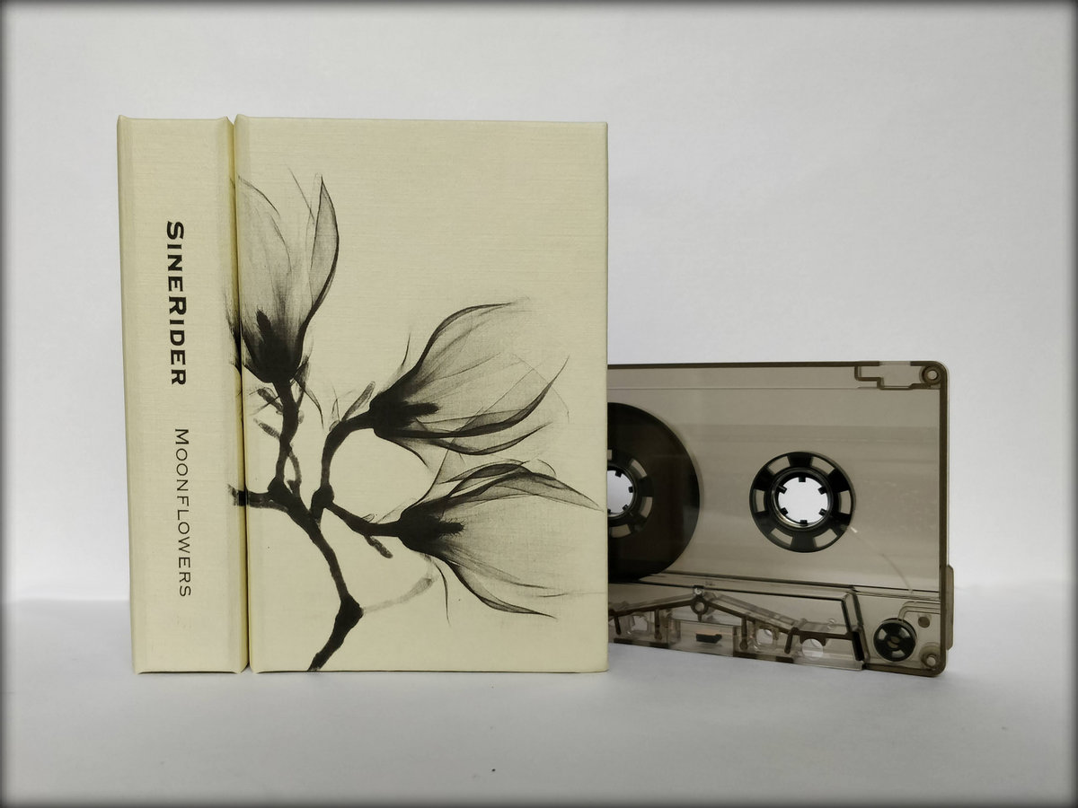 dronarivm.bandcamp.com/album/moonflow…