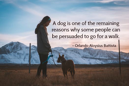 YourServiceDog's tweet photo. A dog is one of the remaining reasons why some people can be persuaded to go for a walk.
-Orlando Aloysius Battista.
#YSDIdogs #SullivanMethod
https://t.co/vtBUJWaahA https://t.co/qpw1VnsNCH