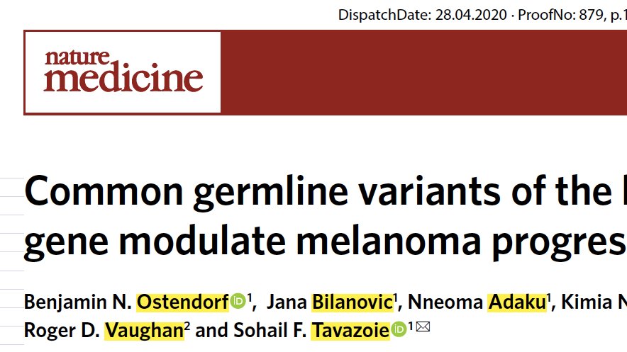 SohailTavazoie's tweet photo. 1/ Congrats to Ben Ostendorf and our #TavazoieLab at @RockefellerUniv  for revealing a hereditary genetic basis to cancer metastasis and survival. The “Alzheimer’s gene” APOE modulates melanoma outcome - our paper out today in @NatureMedicine
https://t.co/P3FAkWv801 https://t.co/ojcYm1iovE