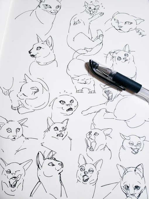 私は猫ちゃんが描けないので練習するしかないのです?

画像検索できる世の中に感謝 