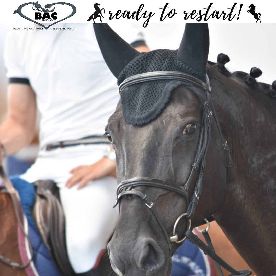 Bac Technology tweet media