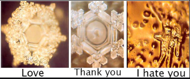 12  Masaru Emoto’s experiment shows the affect human consciousness has on the aesthetics of water crystals by the positive/negative thoughts of our consciousness 